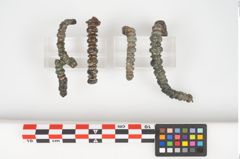 Foto von Bronzeknotenarmreif (NHMW-PRAE-026294)
